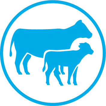 Icono de ganado