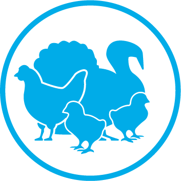 Icono de las aves de corral