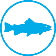 Fish-icon-small