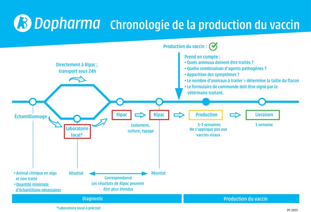 Dophavacc Chronologie de la production du vaccin